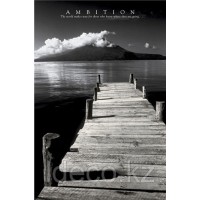  Ambition  61х91,5
