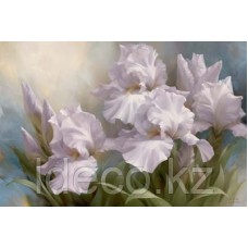 Igor Levashov White Iris Elegance II 60х90