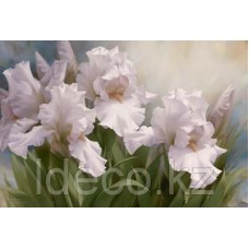 Igor Levashov White Iris Elegance I 60х90