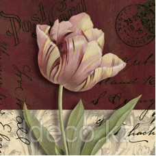 Kelly Donovan  Postcard Tulip 30х30