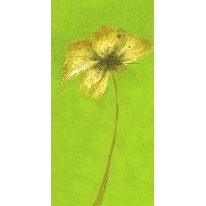 Emma Forrester - Floral Burst VIII 30х60
