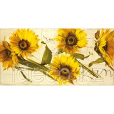 Antonio  Massa  Sunflowers 138х70