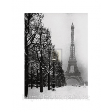Фотопостер, фотокартина, принт SPK 2560, 40x50 cm, Anonymous — The Eiffel Tower