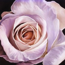 Артпринт, артпостер, картина, 13.05191, 50x50, Scott Walker — White Rose at Dusk