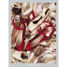 Фотопостер Harvey Edwards — Satin Shoes, 03915, 40x50 cm