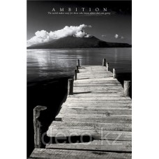  Ambition  61х91,5
