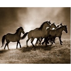 Фотокартина Lisa Dearing — Wild Horses, 40x50 cm, GOGH 13144