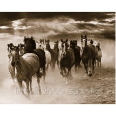 Фотокартина Monte Nagler- Running Horses, 40x50 cm, GOGH 13143