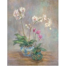 Постер Lily Chang — Orchid Heirloom I, 40x50 cm, TCH 20088