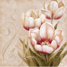 Постер Nan- Perfect Blooms II, GOGV 13065, 50x50 cm
