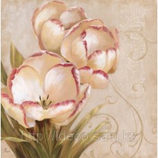 Постер Nan- Perfect Blooms I, GOGV 13064, 50x50 cm
