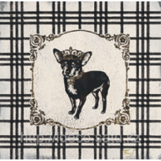 Постер Steffania Ferri- Plaid Chihuahua,  A8619, 30x30 cm