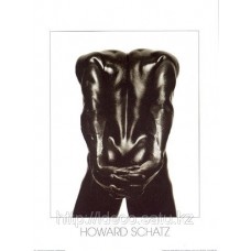 Фотокартина Howard Schatz › cod. HS11 | 60x80cm