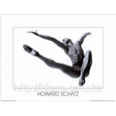 Фотокартина Howard Schatz › cod. HS14 | 60x80cm