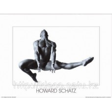 Фотопостер Howard Schatz › cod. HS16 | 60x80cm