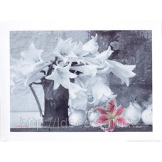 Фотокартина Floral Collection › Lilies in Jug | cod. BW04 | 60x80cm