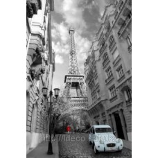 Фотопостер PARIS red girl blue car,  PH0425, 61-91,5 см