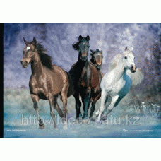 3D-постер  BOB LANGRISH HORSES ANIMALS, 29,7x42 cm, LT 0032