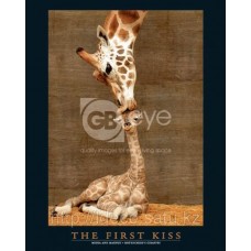 Фотопостер FIRST KISS ANIMALS GIRAFFES PHOTOGRAPHIC U.S.A — FIRST KISS, 40х50 см, MP0166