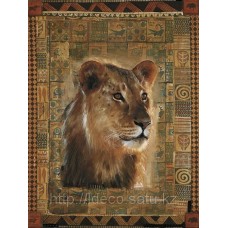 Принт  Rob Hefferan   Lion   09269   24 x 30 cm