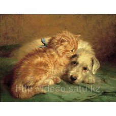 Принт John Fitz Marshall - Kitten and Puppy, 50х60, SPR6299, Rosenstiel's(England)