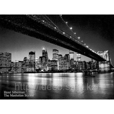 Фотопостер Manhattan Skyline (Henri Silberman), 04086, 40 x 50 cm