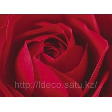 Фотопостер L’Important, c’est la Rose (Photography Collection), 04242, 40 x 50 cm