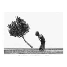 Фотопостер Cristiana Ceppas — The Tree, 08142, 60 x 80 cm